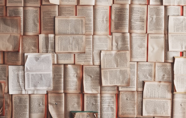 Libros y normas de citación
