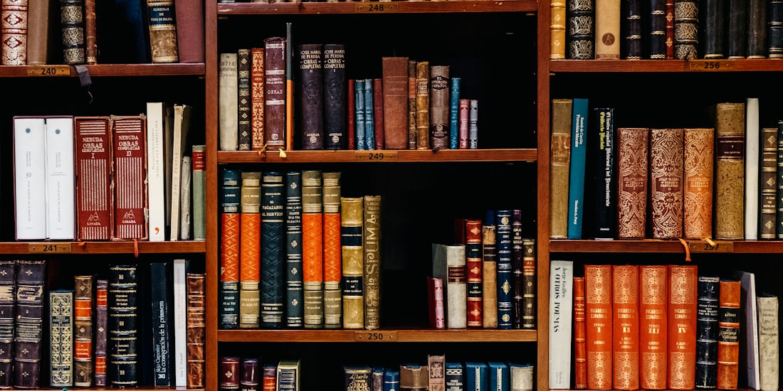 Biblioteca con estanterías de libros