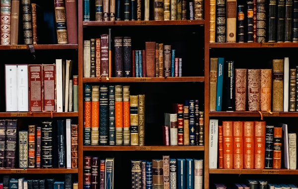 Biblioteca para construir el marco teórico